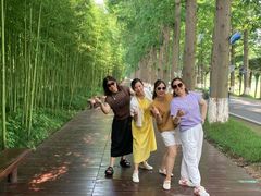 -黄海国家森林公园