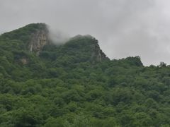 -青峰峡国家森林公园