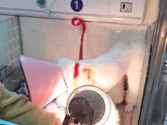 -动物缘宠物医院·骨科·猫科(西二环店)