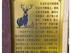 -乔家满族八大碗(中兴路店)