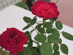 -梁子刨冰王&梁小糖(王顶堤店)
