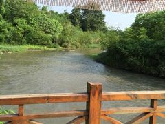 -桤木河湿地公园