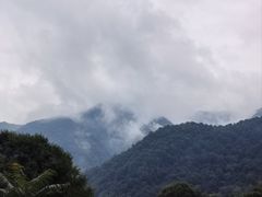 -关山草原