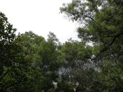 -云洞岩风景区