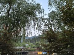 -黄陂区野村谷景区