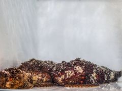 -海盗餐厅