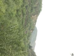 -五龙城郊森林公园