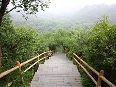 -大青沟风景区