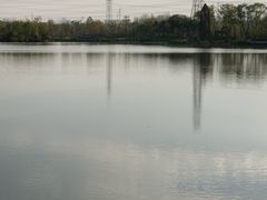 -昆山城市生态森林公园