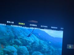 -华夏良子·足道SPA艾灸(金皇大厦店)