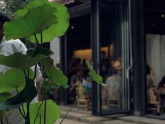 -Metal hands·铁手咖啡