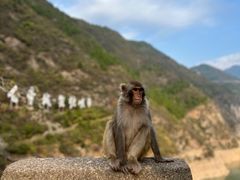 -白帝城·瞿塘峡景区