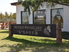 -上海长兴岛郊野公园