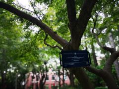 -复旦大学光华楼
