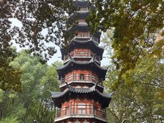 -上海佘山国家森林公园西佘山园