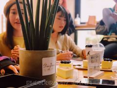 -WIZARD COFFEE咖啡巫师
