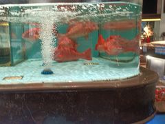 -阿伟海鲜楼·福建菜(延寿店)