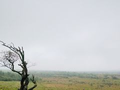 -石棉县孟获城