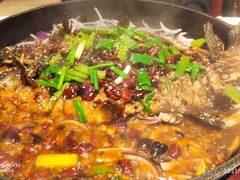 -壹鲦鱼·烤鱼·烧烤(泉城路店)