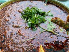 -胖大姐黄辣丁鱼庄(新津店)