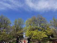 -元大都城垣遗址公园