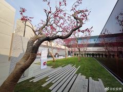-西安软件新城软件研发基地2期