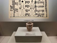 -广东中医药博物馆