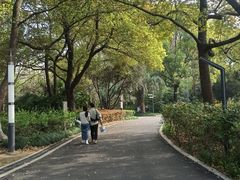 -苏州河梦清园环保主题公园