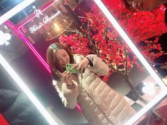 -爱丽丝冒险奇遇记