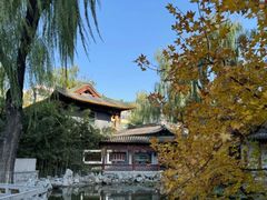 -碑林公园