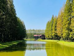 -黄海国家森林公园