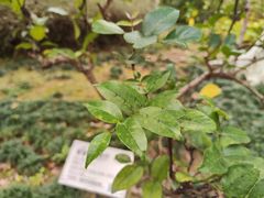 -广州神农草堂中医药博物馆