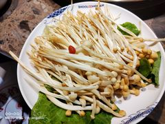 -小龙坎火锅(全球总店)
