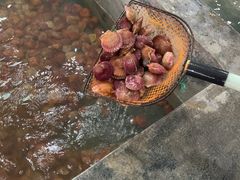 -阔澜蒸汽海鲜自助