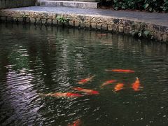 -燕晗山郊野公园