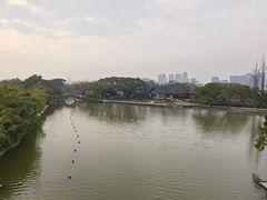 -江心屿景区