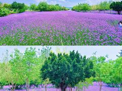 -厦门园林博览苑