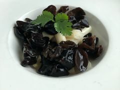 -Lotus 莲花空间(国贸商城店)