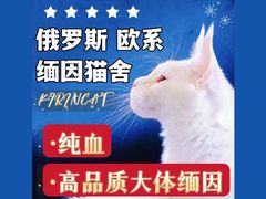 -十年猫舍·猫咪专门店(普陀店)