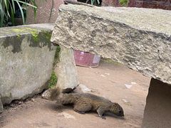 -寂照庵