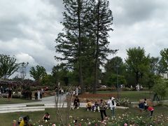 -上海植物园-4号门售票处