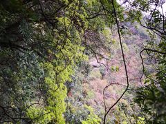 -牛鱼嘴原始生态风景区-停车场