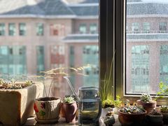 -便宜坊烤鸭店(幸福大街店)