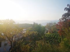 -塔川景区