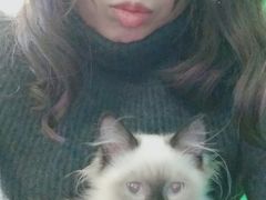 -李小姐の猫咖啡馆(五角场店)
