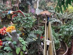 -正佳雨林生态植物园