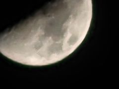 -维园港式茶餐厅(龙岗盛平店)