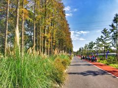 景点-上海长兴岛郊野公园