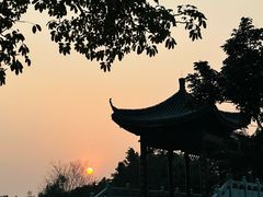 -飞来湖湿地公园