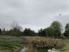 -两河城市森林公园